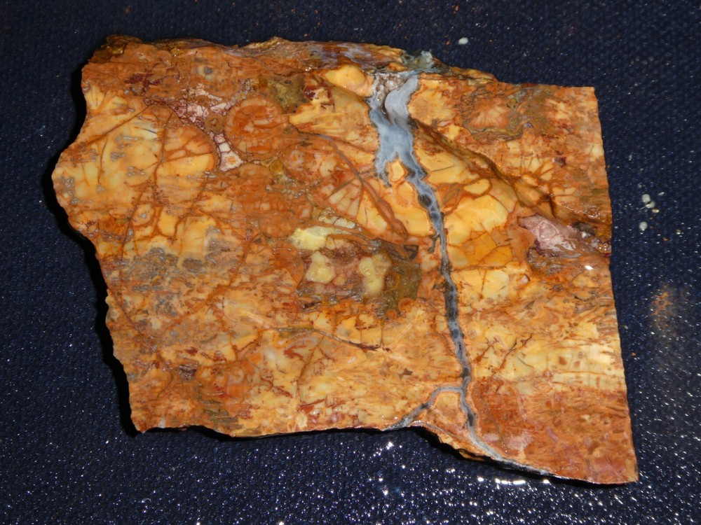 Cold Mt. Thunder egg slab-- 2 5/8" x 2 " rough for cabbing-display,hobby