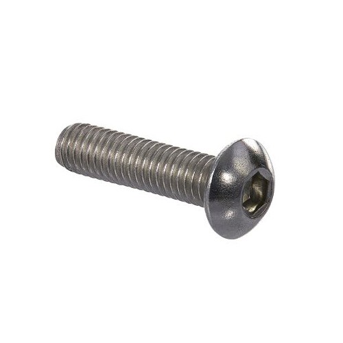 Fisher 22284 Vandal Resistant Screw