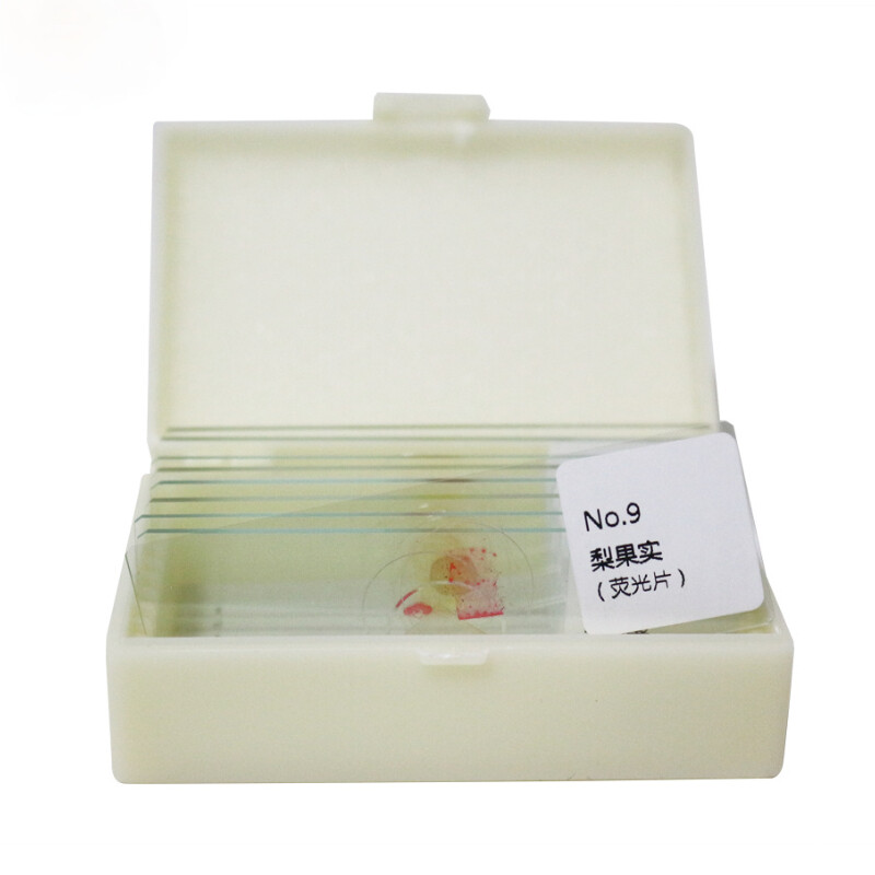 9 pcs Plant Fluorescence Microscope Sliced Spinach Leaf Potato Slice Specimen