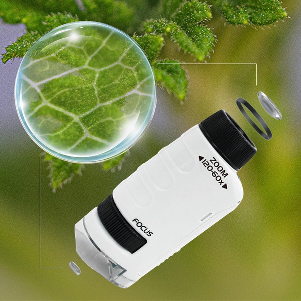 Mini Microscope For Kids Microscope For Child LED Lighted Pocket Microscope