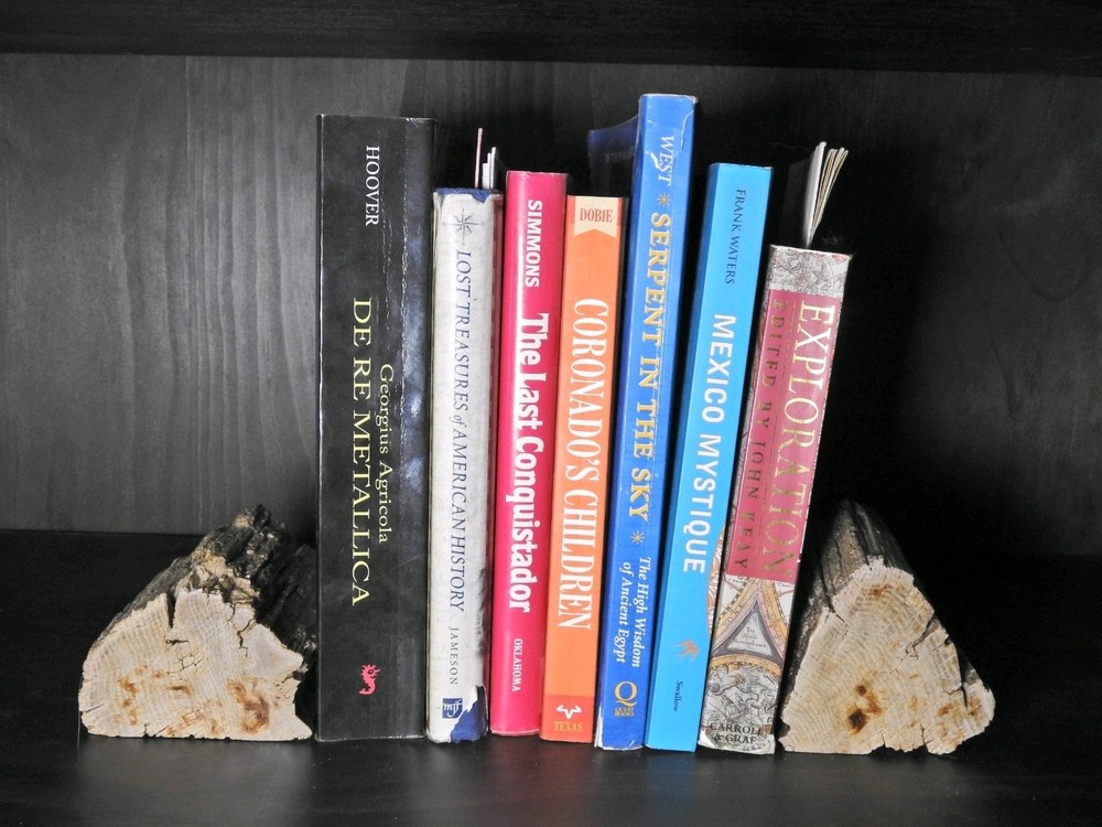 Book Ends Petrified Wood