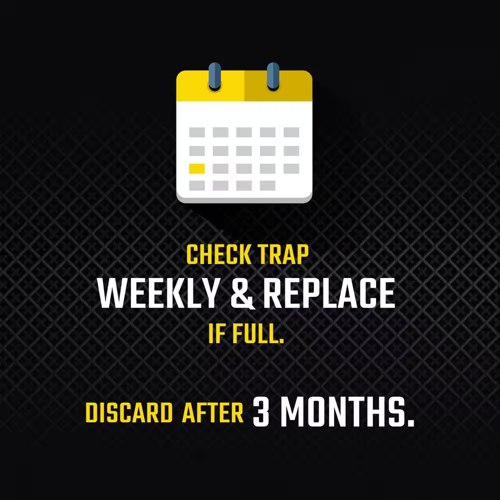 Pantry Pest Moth Glue Traps Multi-Pack (2-Count)