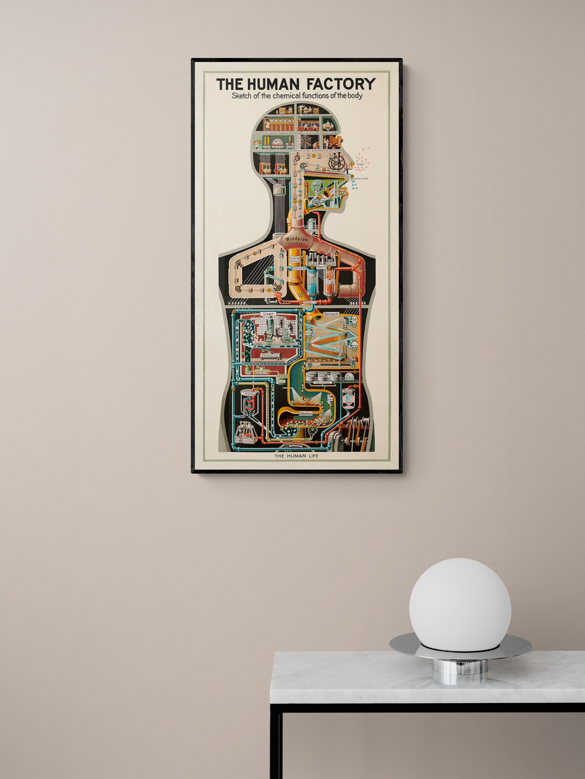 1931 The Human Factory - Vintage Industrial Anatomy Poster - 12x24