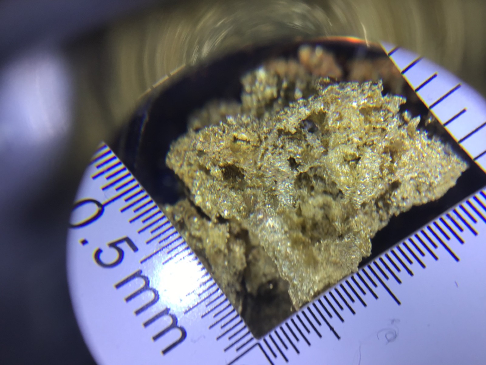 California Crystalline Gold specimen 22.2 grams