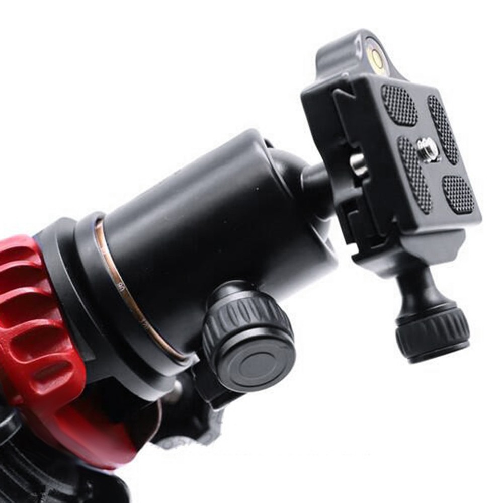 Telescope Adapter Mounts for Head Tripod DSLR Camera Head4246