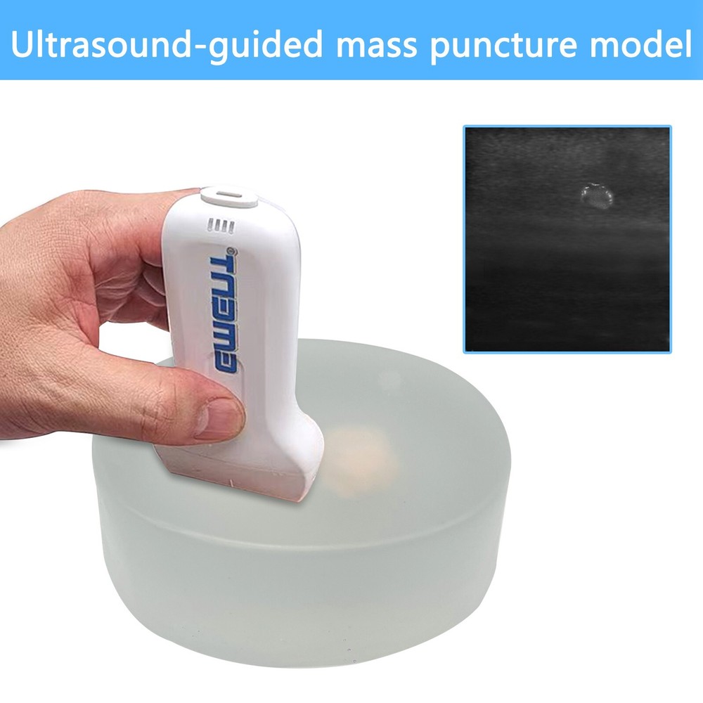 1PCS Ultrasound Guided Mass Puncture Models, Beginner's Puncture Operation Train