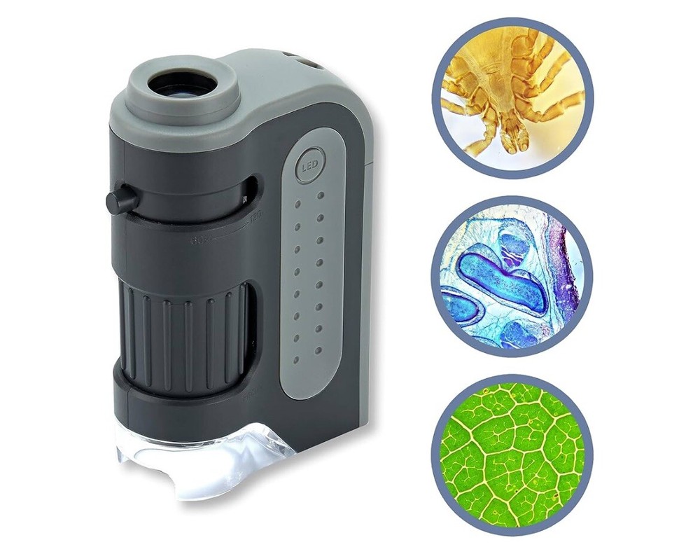 Carson MicroBrite Plus 120x LED Pocket Microscope
