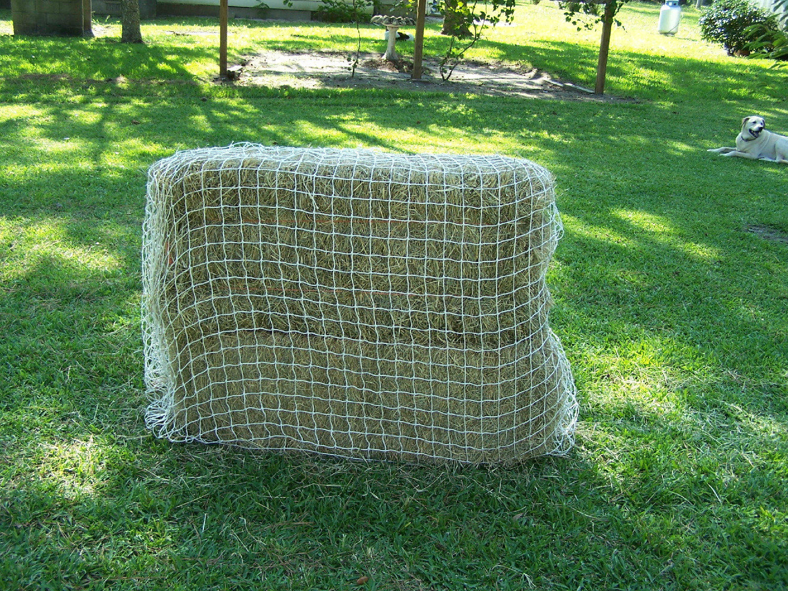 18' x 8' WHITE SQUARE NYLON HORSE HAY NET 2" #42 TEST 420 LBS / 1260 Lbs Mesh