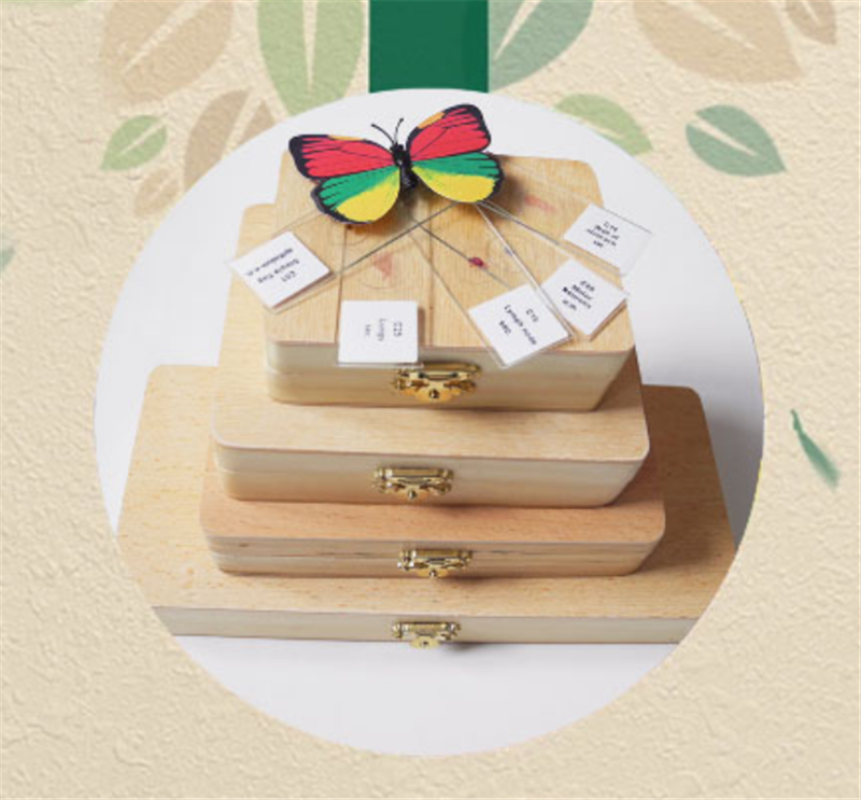 Microscope Slide Storage Wooden Box Specimen Holding Storage Case with Lock