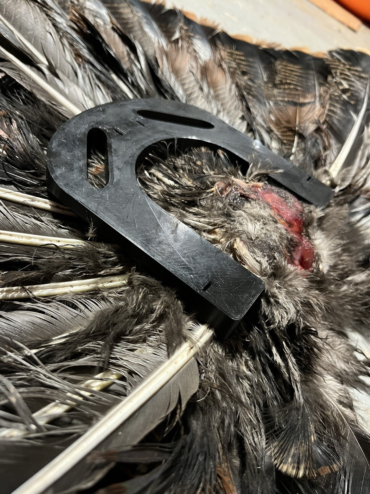 Turkey Hunting Fan Decoy Mount - Wall Mount, Hunt, & Preserve - Fan Not Included