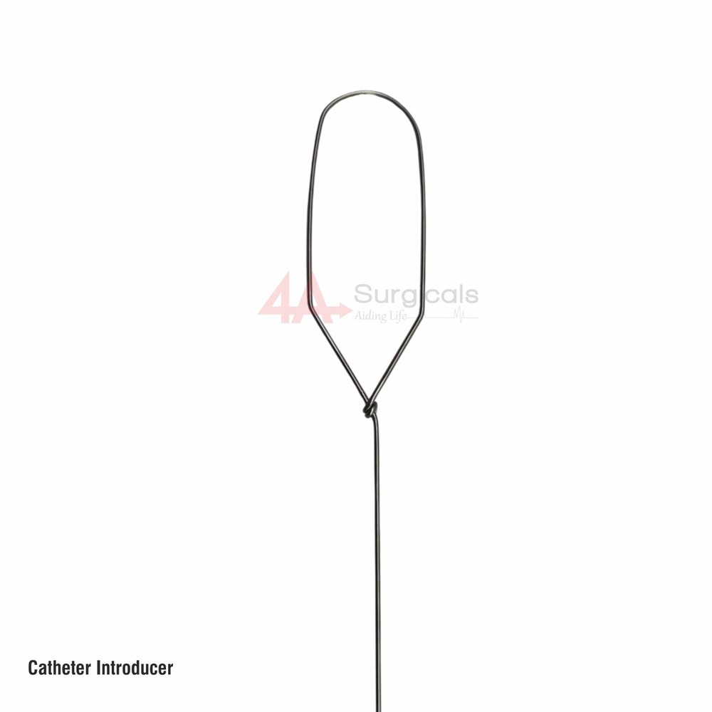 4A Catheter Introducer