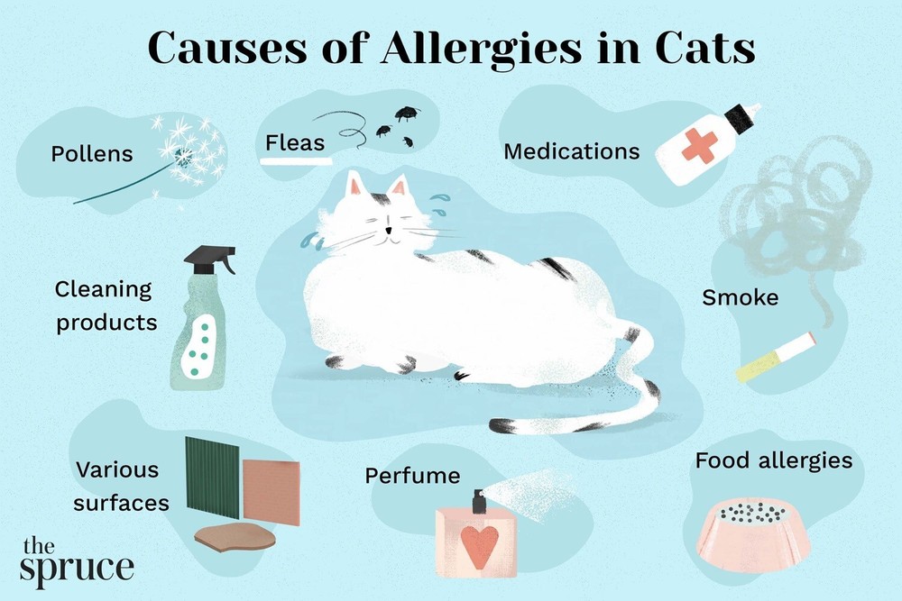 ALLERGY SOLUTION FOR PETS - 120 Capsules - Made in USA