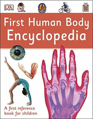 First Human Body Encyclopedia (DK First Reference) by DK Book The Fast Free