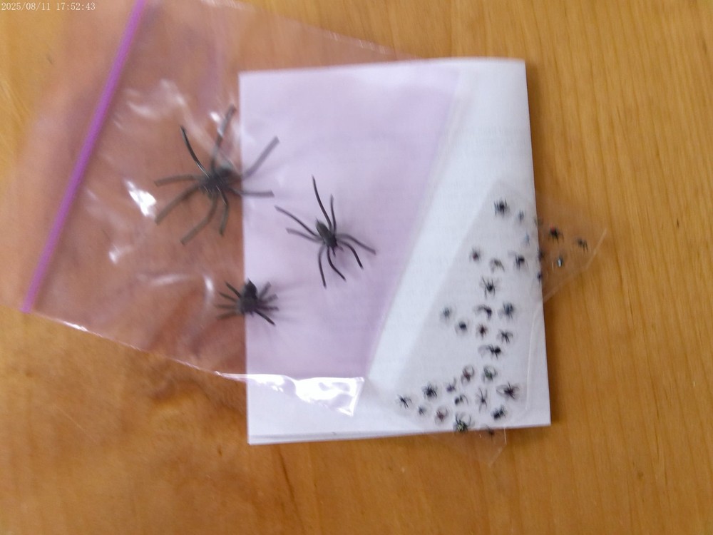 Kit-Learn To Kill Spiders (Gag Gift)