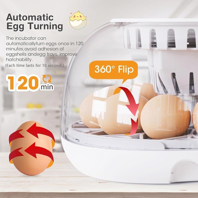 12 Eggs Incubator Automatic Turning LED Display Water Adding Hatching Poultry US
