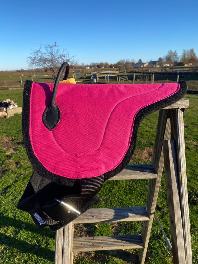 Felt bottom miniature horse bareback pad assorted colors