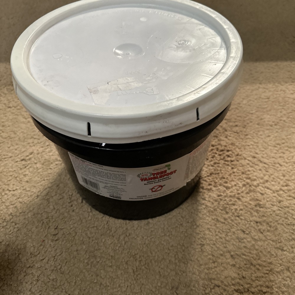 Tree Tanglefoot & Tangle Guard Protective Barrier for Trees Tangle Foot New