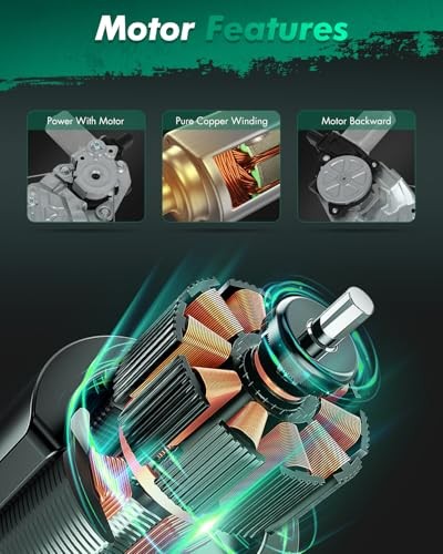 Power Window Regulator Without Motor Compatible with 2001-2007 for Focus