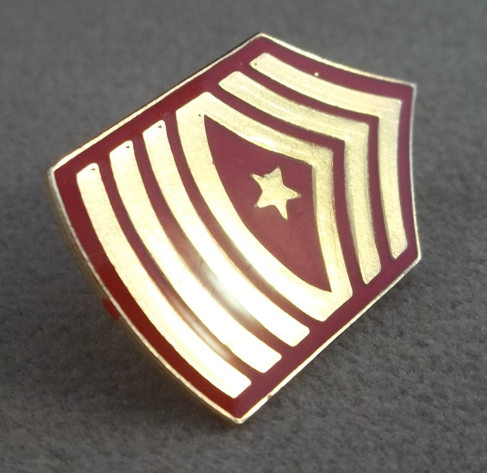 US Marine Corps Sergeant Major E-9 Pin - Clutchback