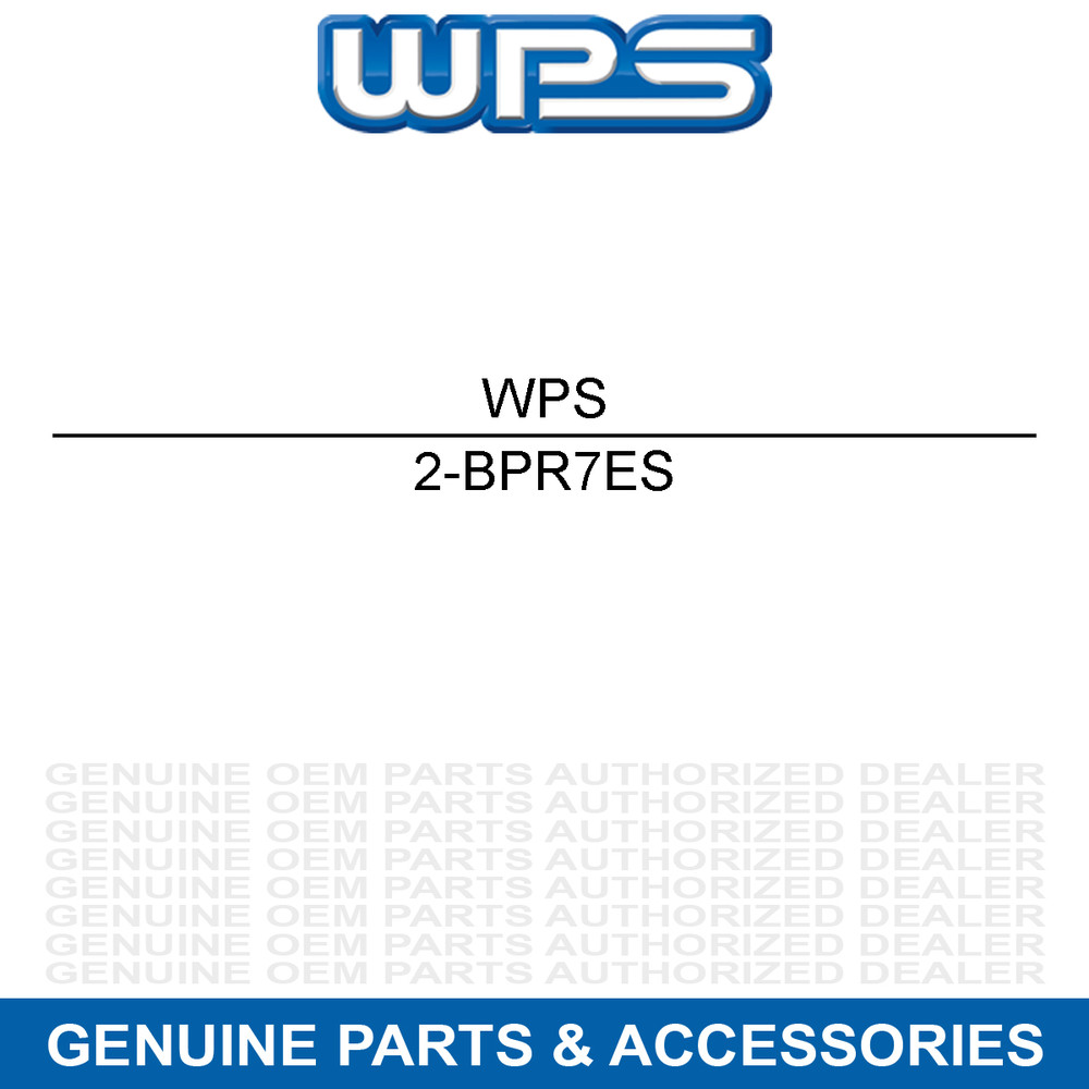 NGK 5534 SPARK PLUG /04