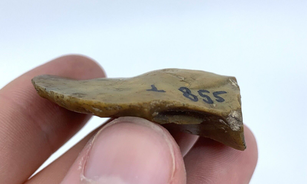 Authentic Scraper Flake Circular Stone Tool Neolithic European Origin