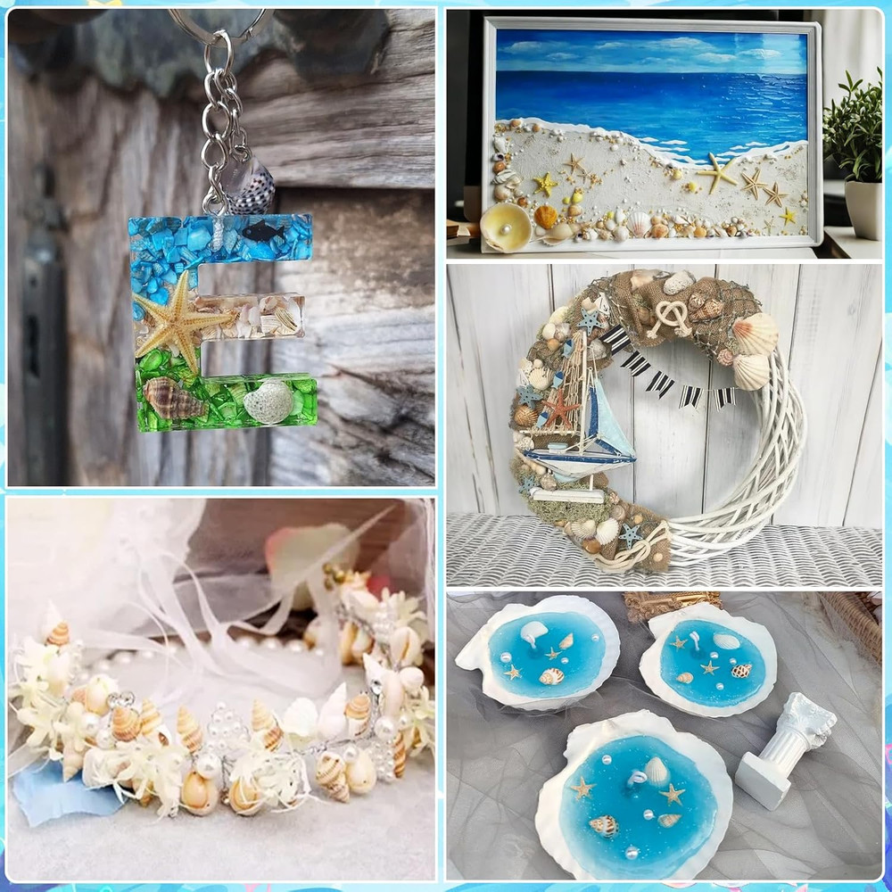 1200 PCS Tiny Seashells& 21 Starfish Mixed Bulk Beach Small Shells for Home Deco