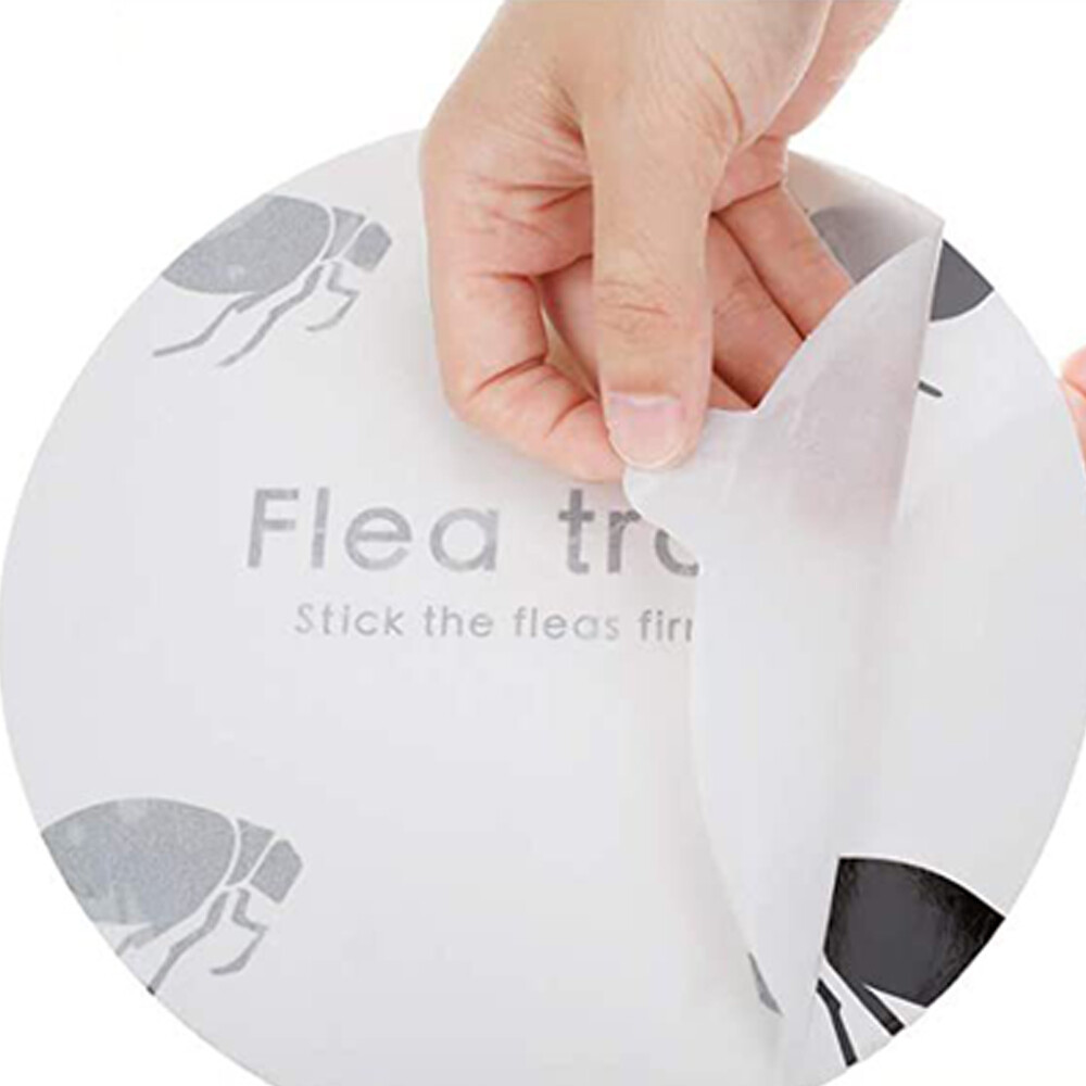 5 Pack Disposable Flea Trap Sticker Sticky Dome Flea Trap Refill Flea Glue Discs