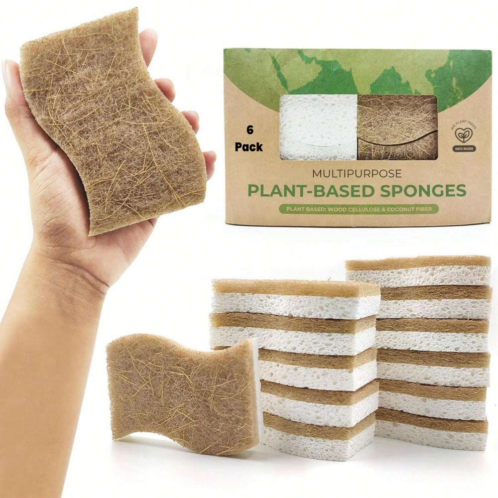 6Pcs Natural Kitchen Sponge Biodegradable Cellulose Coconut Dishwashing Scrubber
