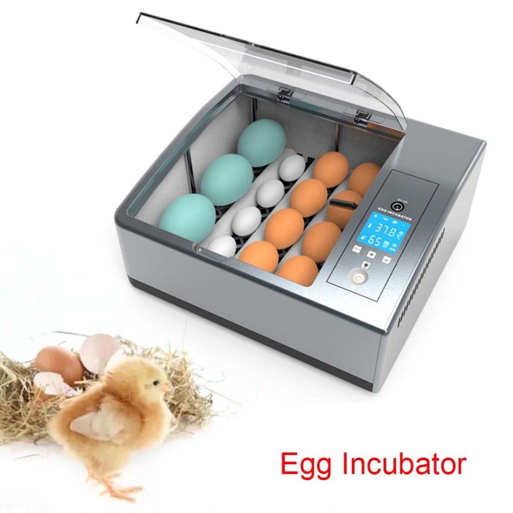 16 Egg Incubator for Hatching Eggs w/Automatic Egg Turning Built-in