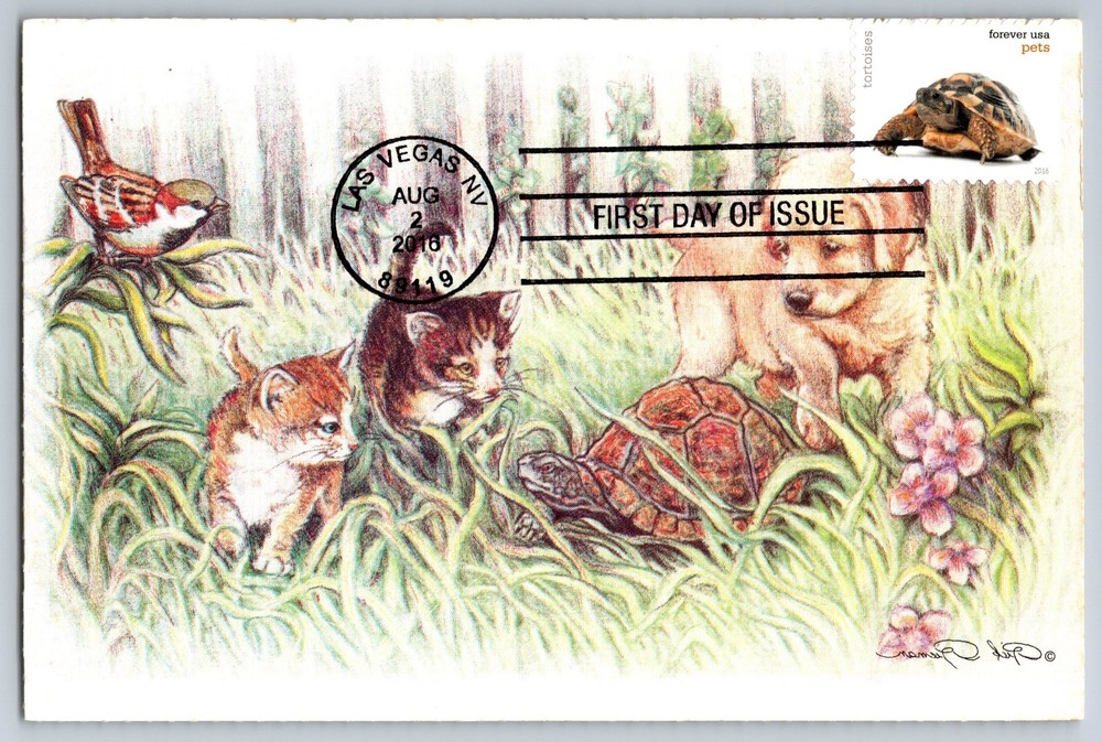 #5113 Tortoises FDC Maxi Card