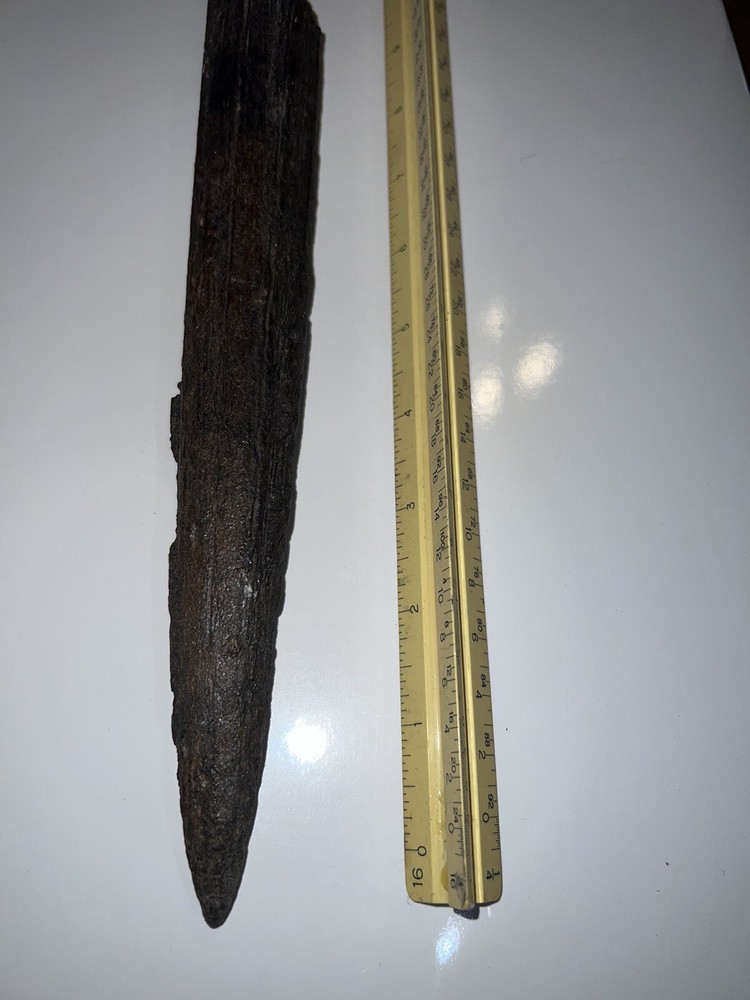 Fossilized swordfish bill
