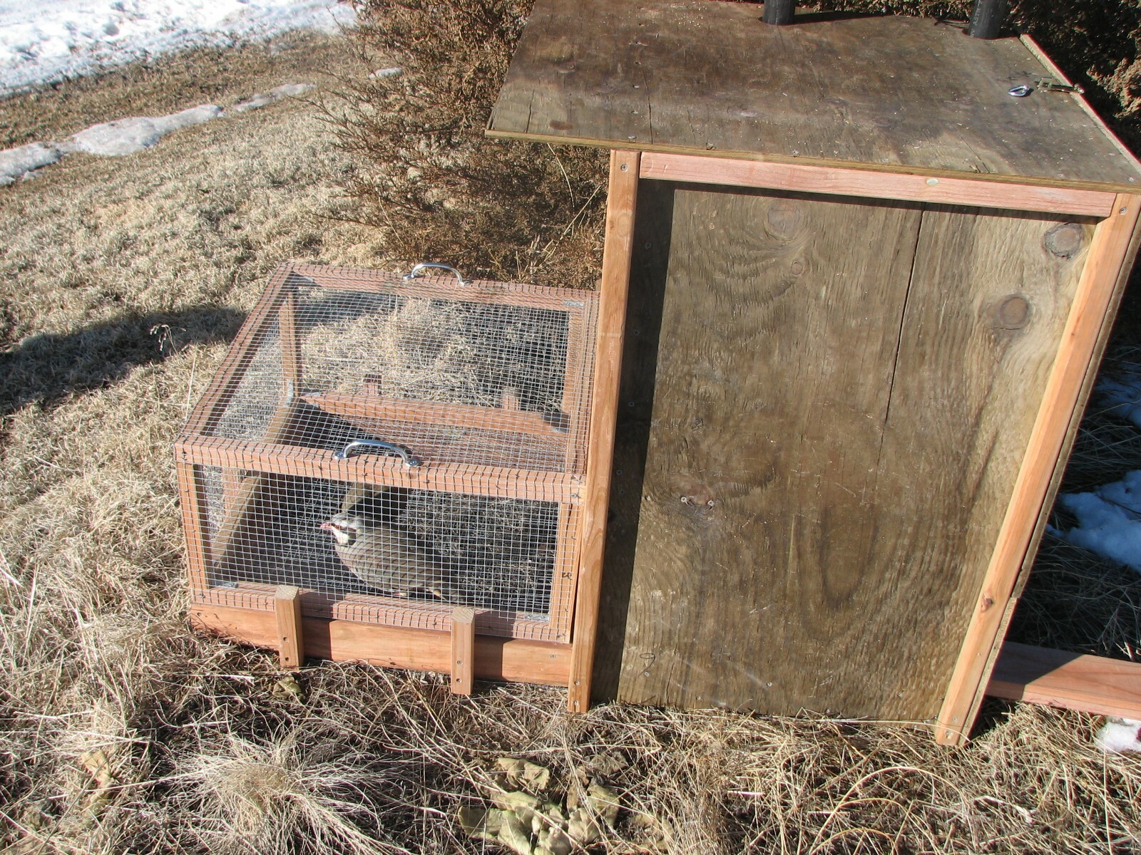 Cody Hunt Gear Quail/Chukar Recall Pen Plan and Building Instructions