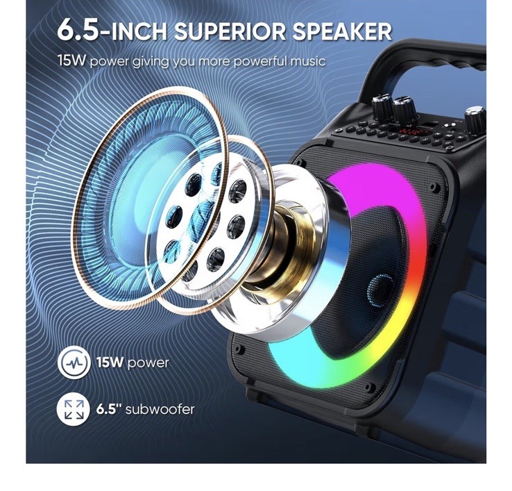Karaoke Machine, Portable Bluetooth Speaker with 2 Wireless Microphones for