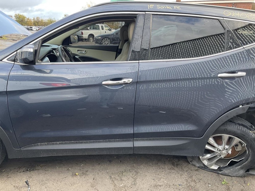 SANTA FE 2018 Camera/Projector 4695726