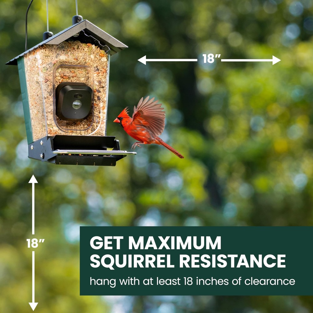 Perky-Pet Solar Powered Smart Bird Feeder with Camera - Forest Green