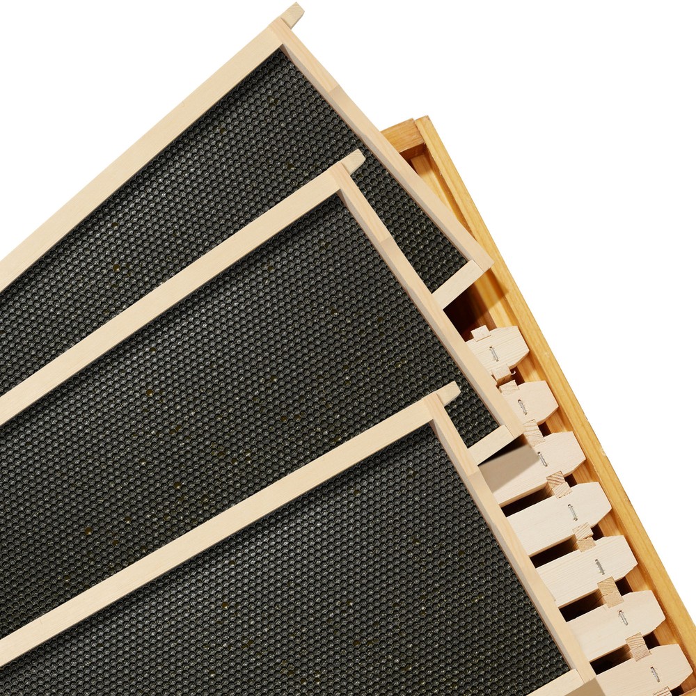 Deep Waxed Brood Box with Window, 10 frames and 10 Blk Foundations