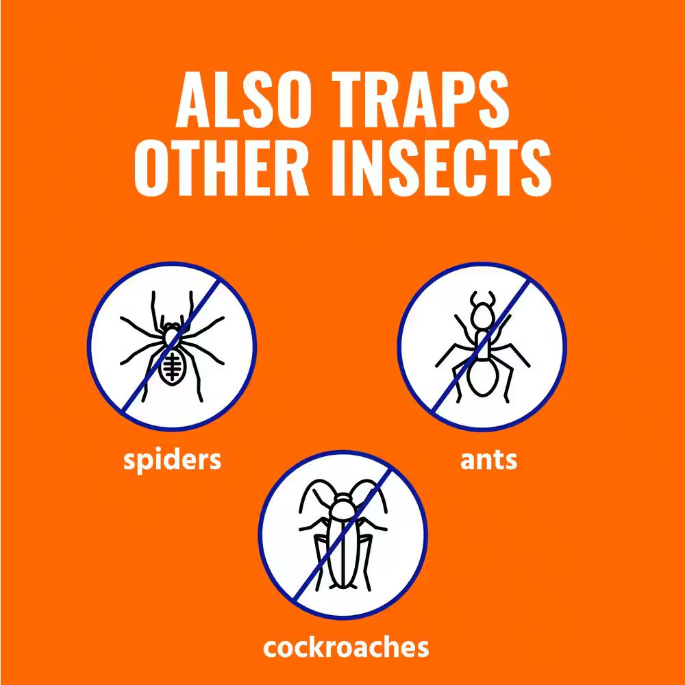 Refillable Flea Trap