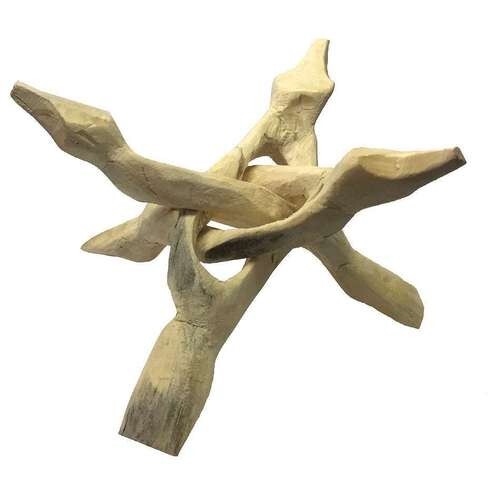 Wood Shell Stand - Large 6 Inches