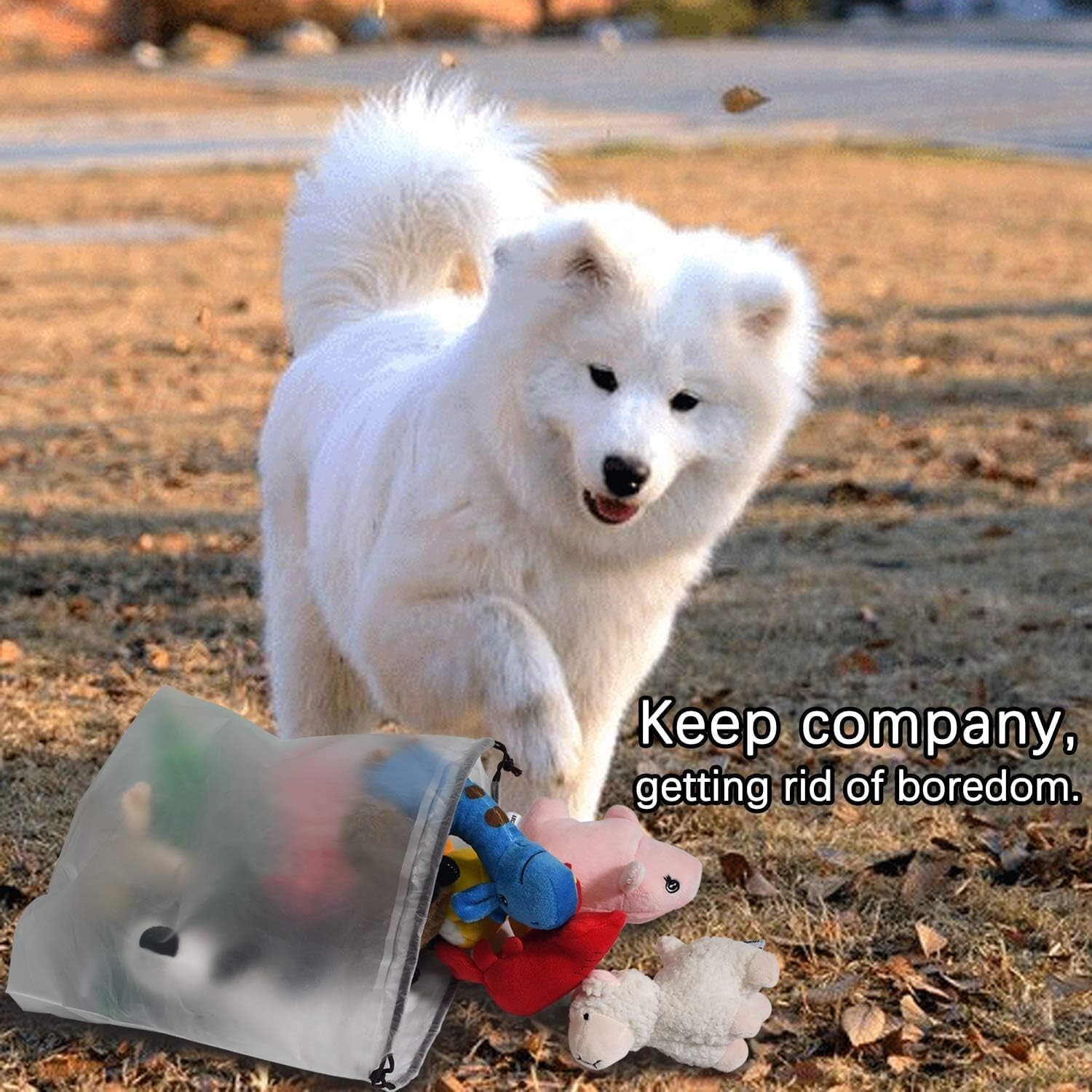 Squeaky Plush Dog Toy Pack for Puppy, Small & medium Stuffed Puppy 12 Chew Toys