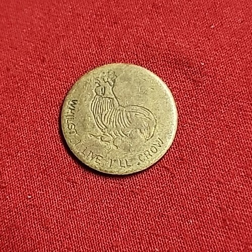Coin World Token Free Shipping