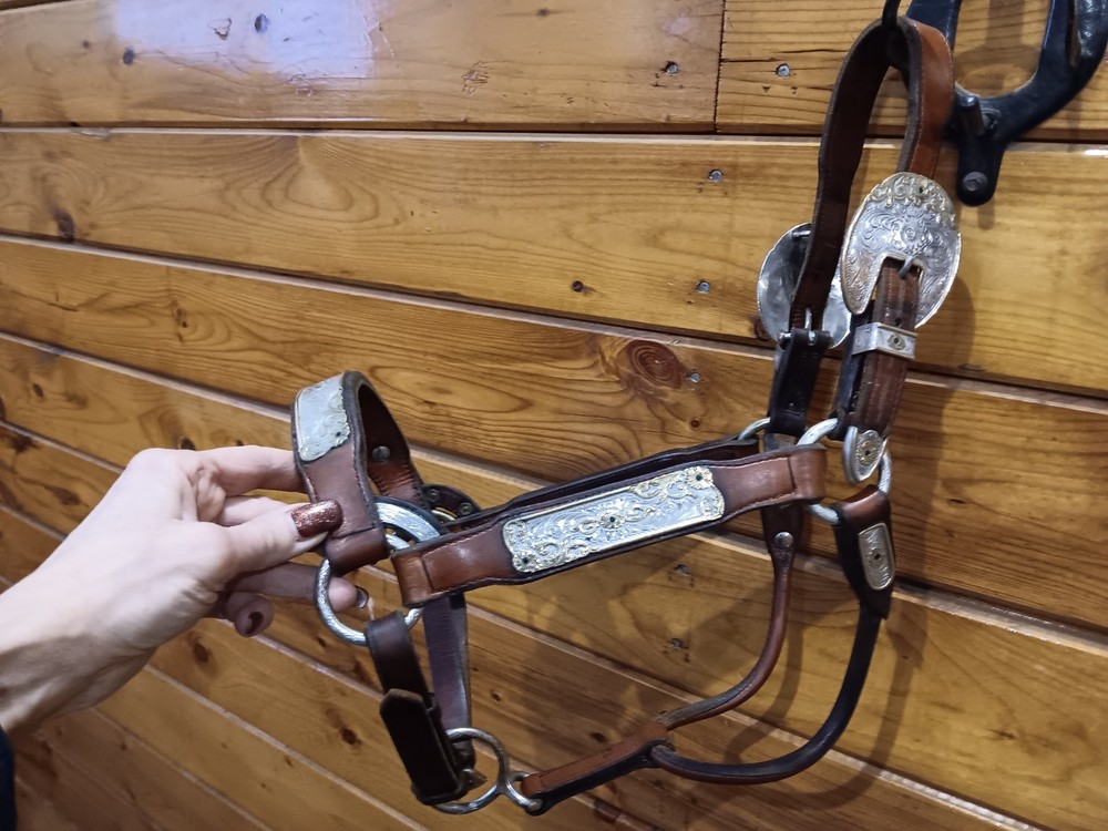 Silver Show halter