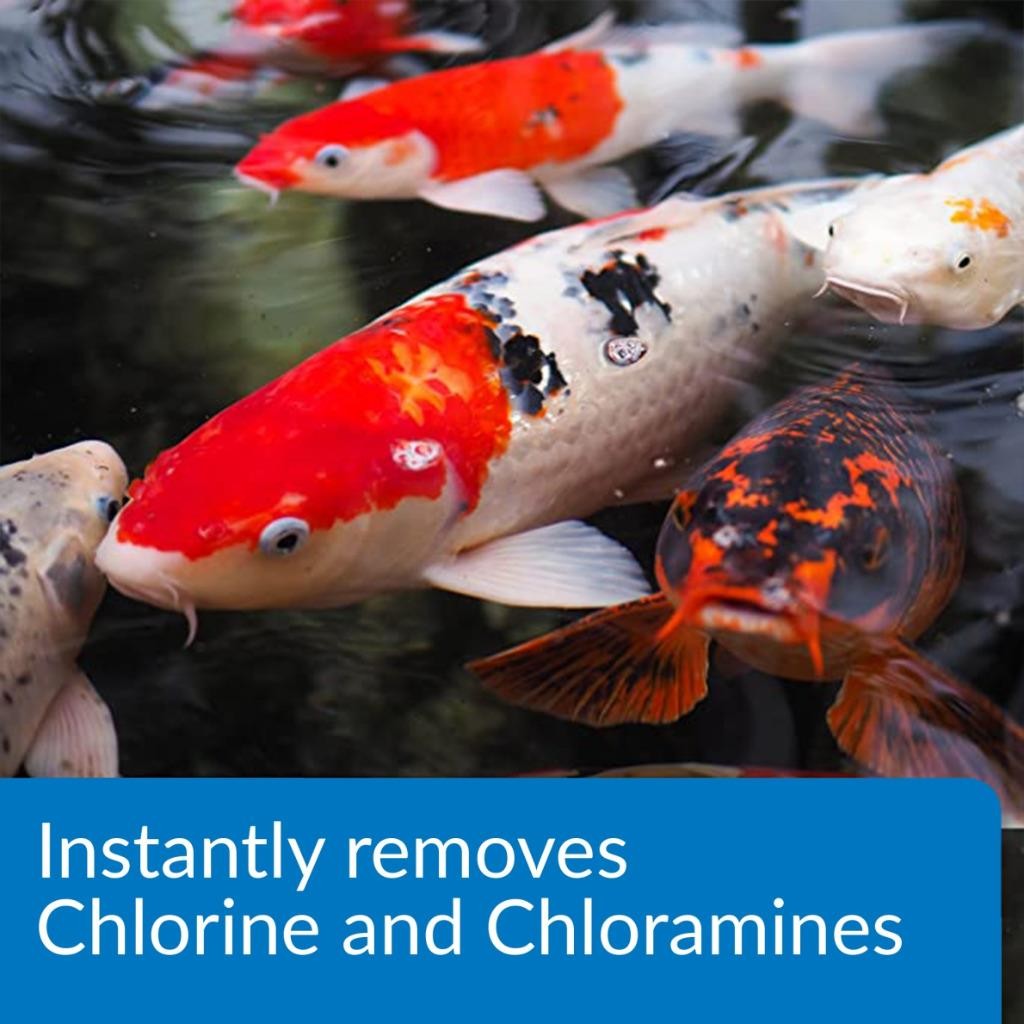 Pond Care Ammo Lock Instant Ammonia Neutralizer & Detoxifier 64oz treats 7680gal