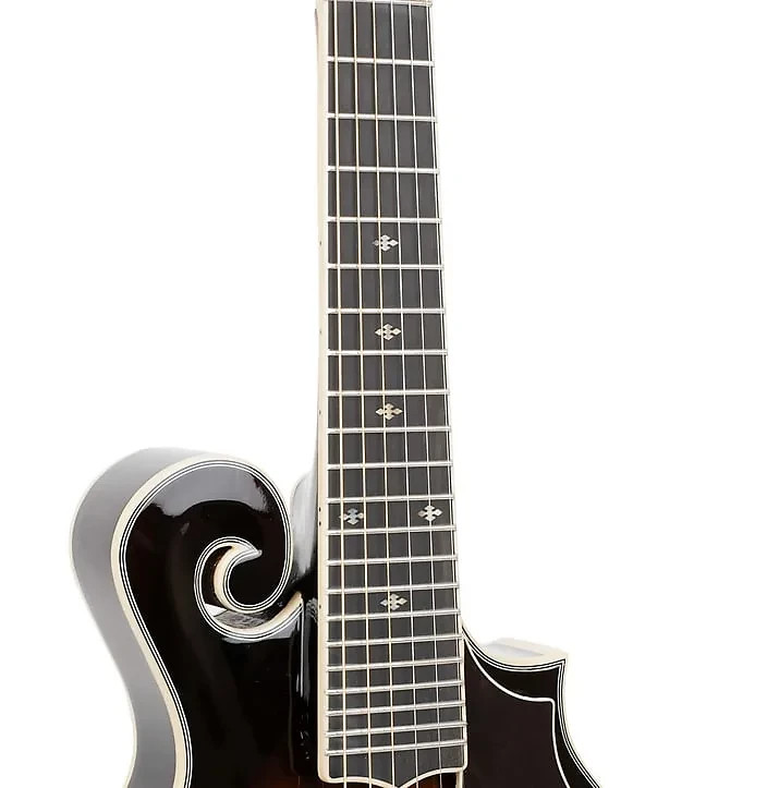 Gold Tone F-6+ F-style 6 String Electric Mandolin Guitar Mando-Guitar New W/Case