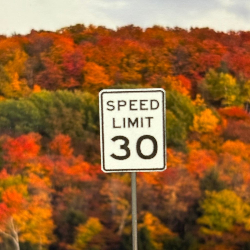 N Scale - Speed Limit - Choose MPH - 2 Pack