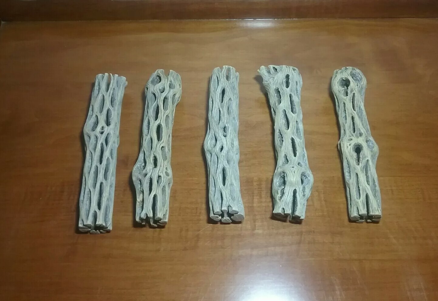5 LARGE 6" inch CHOLLA Wood Cactus pieces | PRE-CLEANED | AQUARIUM | Air Plants