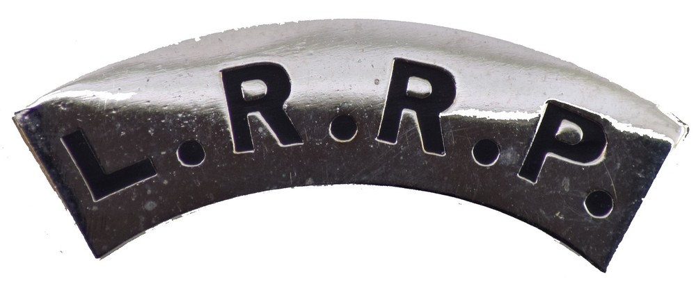 LRRP HAT PIN