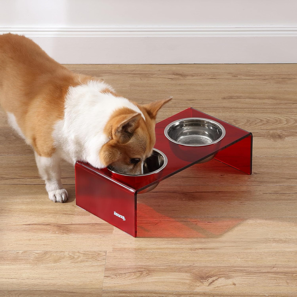DBL2000H Keaton 5" Small/Medium Modern Acrylic Rectangular Elevated Pet Feeder w