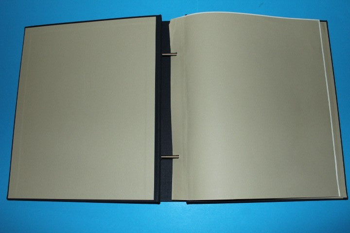 Italy DAVO binder and dustcase BlueLakeStamps Most Useful!