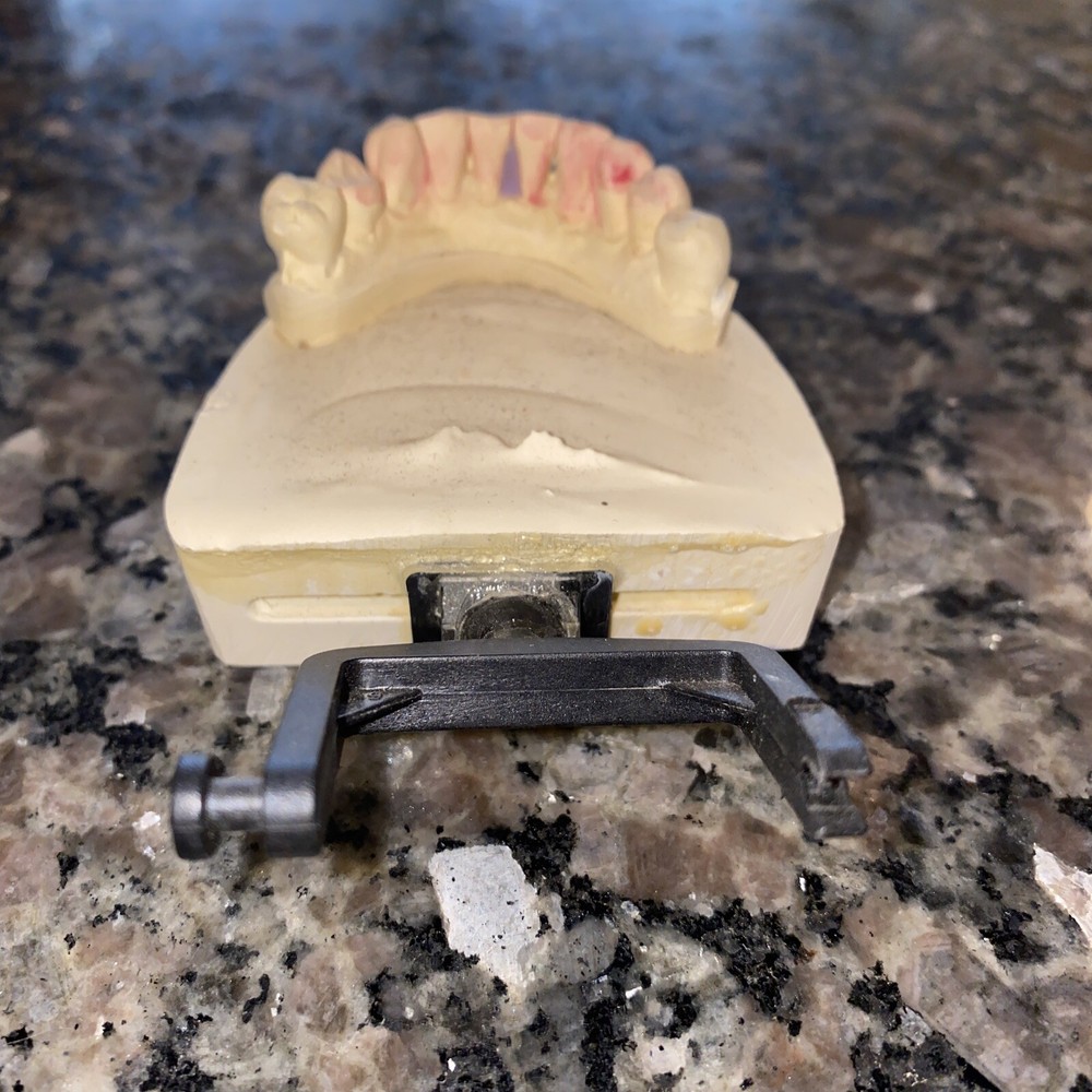1PC 10 Tooth Dental teeth Model Typodont