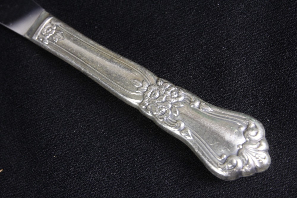 8 Valley Rose Pattern Dinner Knives By Oneida Silverplate